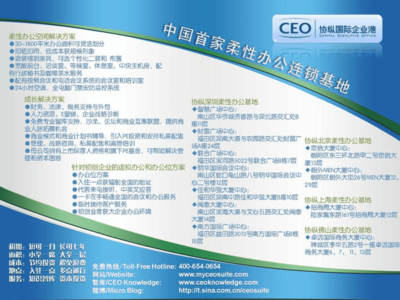 康佳集團廣告促銷計劃流程實施手冊 國際咨詢公司專業(yè)視角